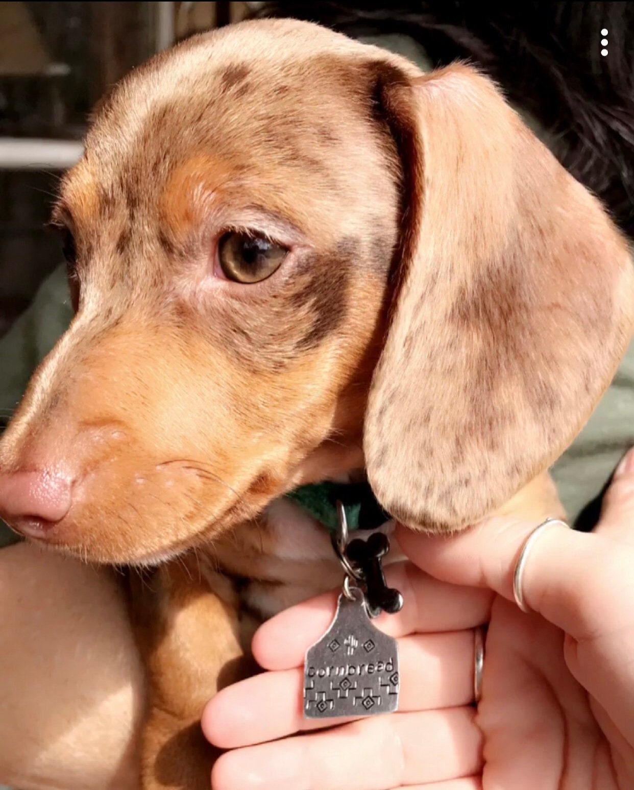 Custom Hand Stamped Dog Tag